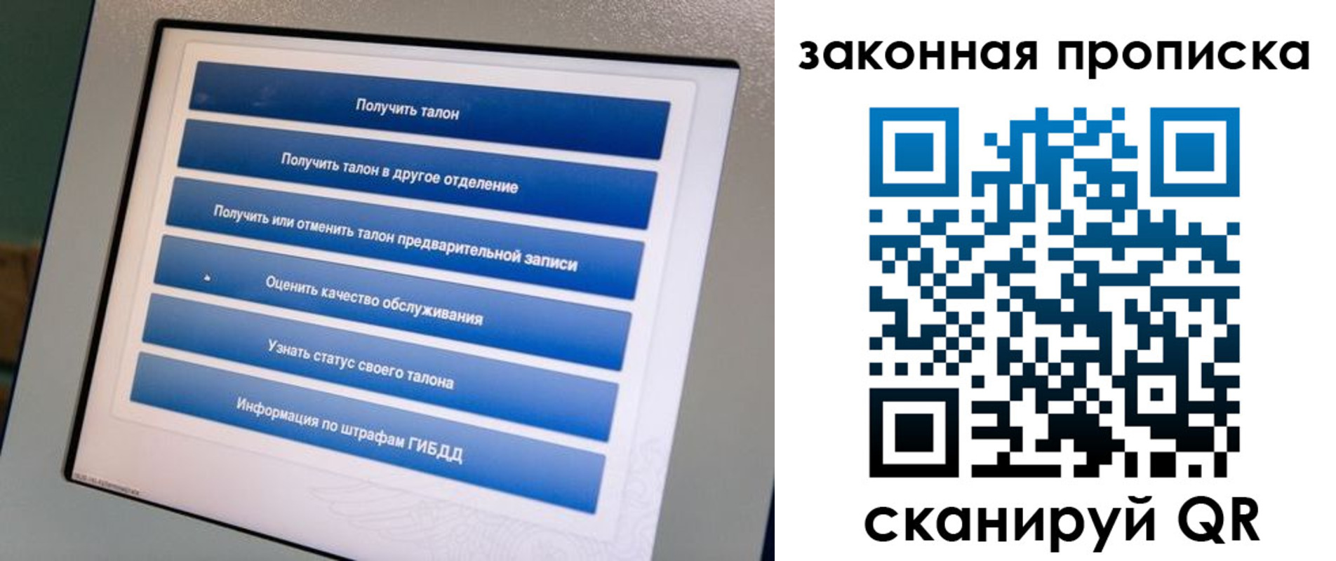 прописка 2025 в Павловске